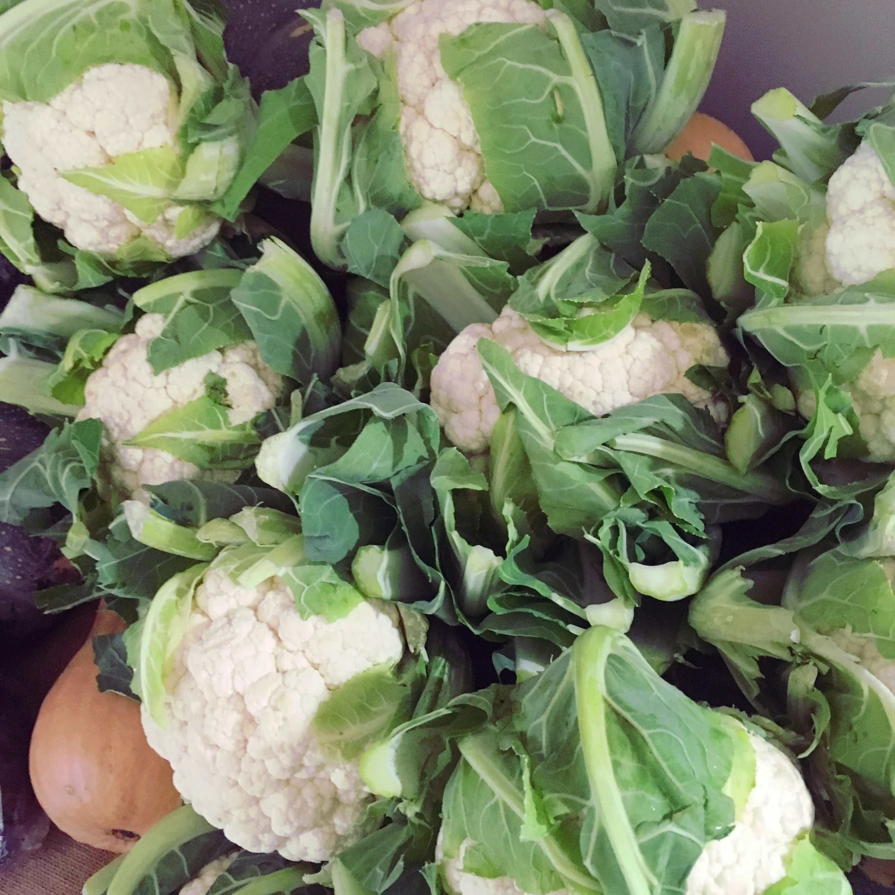 🥦  Organic Cauliflower Grown in St Vincent