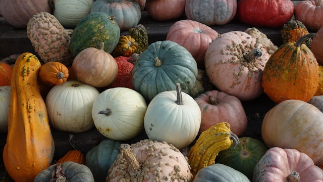Gourds